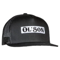 Dale Brisby Mens Dal Ol` Son Black Mesh Cap