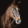 Pessoa Pro Fancy Figure 8 Bridle