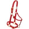 Weaver Leather Adjustable Nylon Weanling Halter