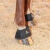Classic Classic Equine Black MagNTX Magnetic Bell Boot