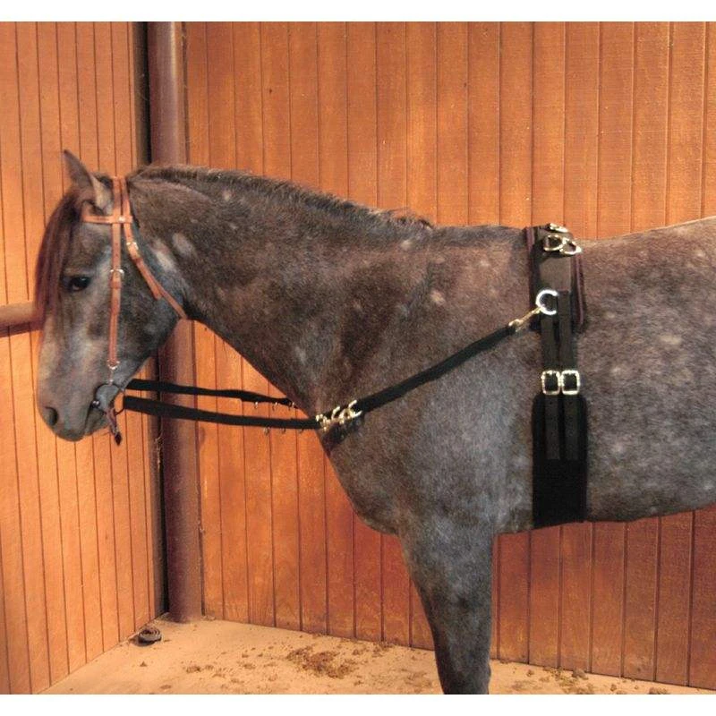 Mustang Nylon Horse Training Surcingle W/Liner - Image 2