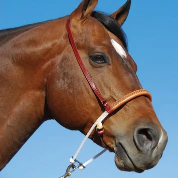 Martin Saddlery Double Rope Horse Noseband With Cavesson - Image 2
